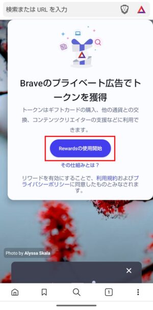 Brave Rewardsの設定_Android③